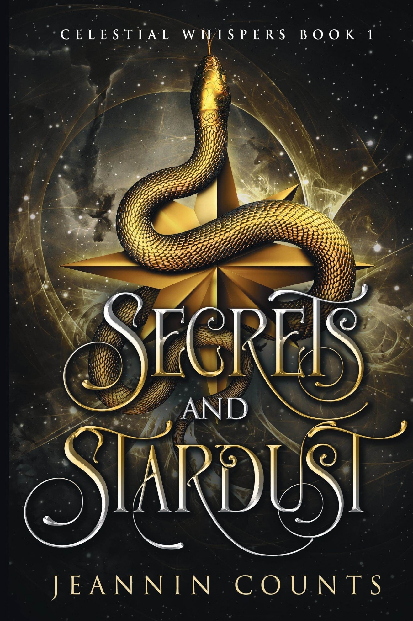 Picture of Secrets and Stardust