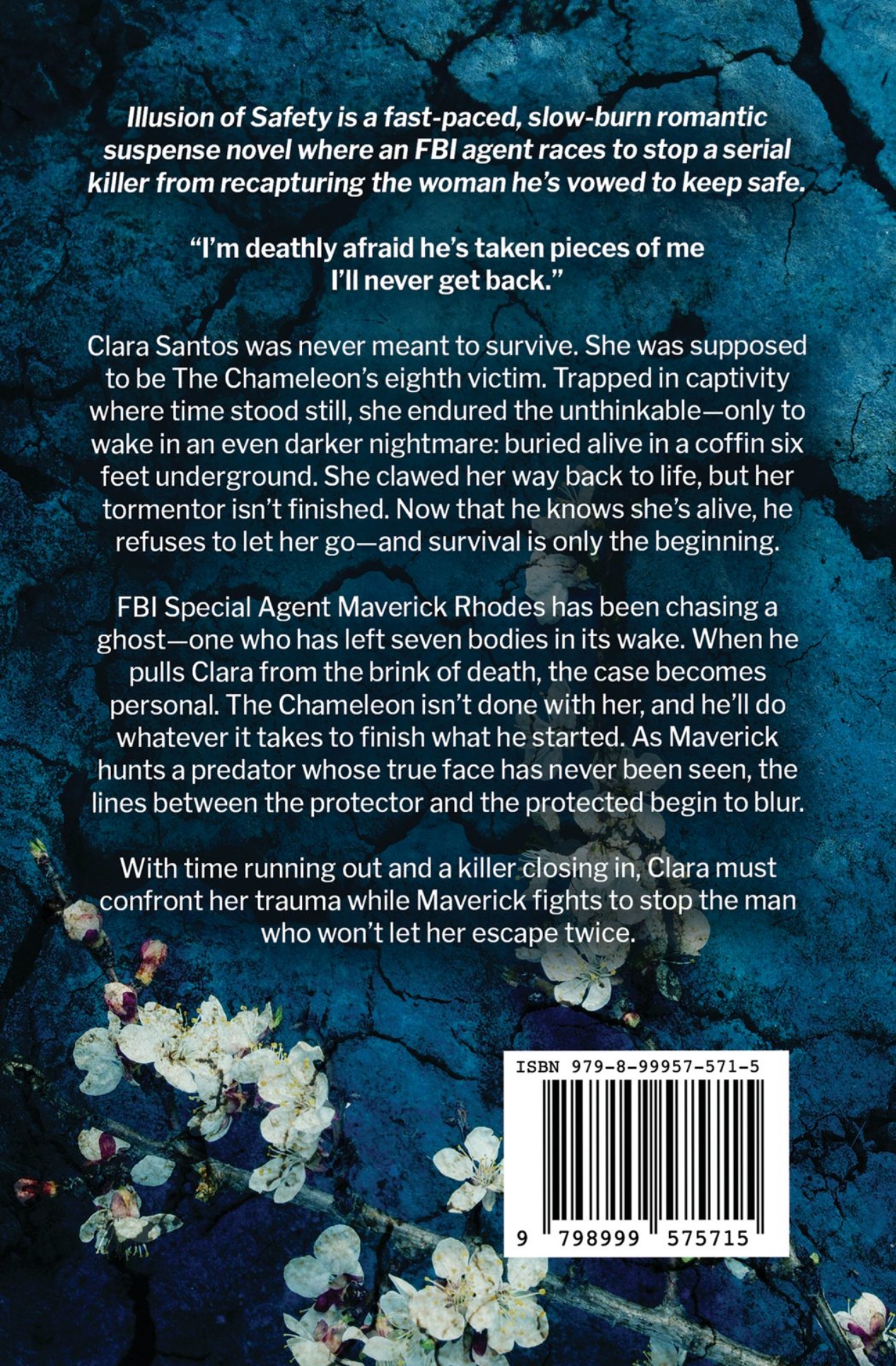 Picture of Illusion of Safety