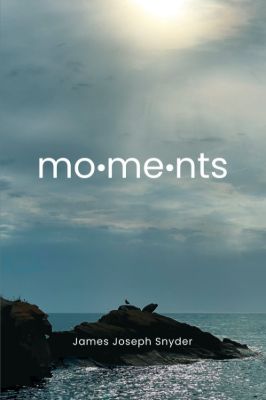 Picture of Moments