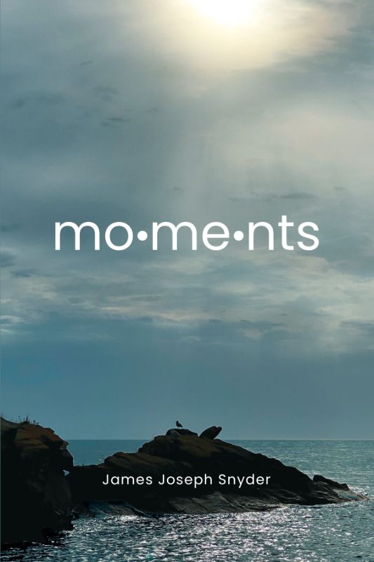 Picture of Moments