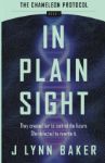Picture of In Plain Sight