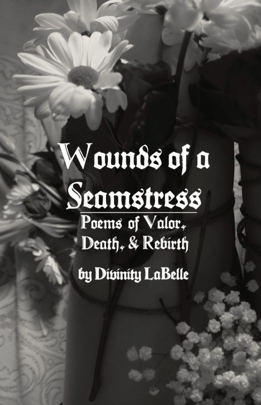 Picture of Wounds of a Seamstress