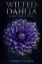 Picture of Wilted Dahlia