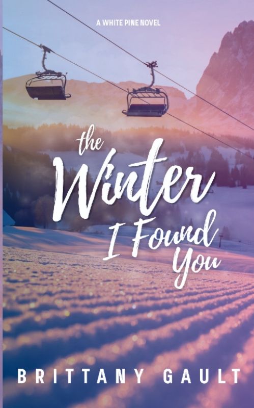 Picture of The Winter I Found You